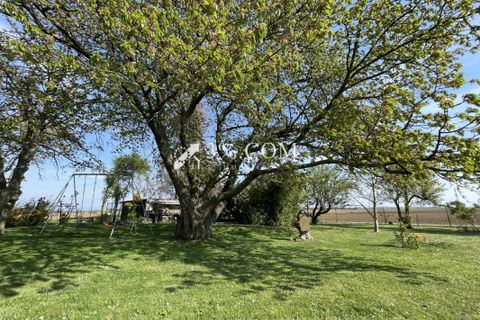 Terra a Berstett, Bas-Rhin, Berstett - € 66.000 | Ref: 55_V1000057277 - foto 14