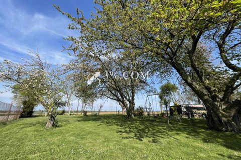 Terra a Berstett, Bas-Rhin, Berstett - € 66.000 | Ref: 55_V1000057277 - foto 15