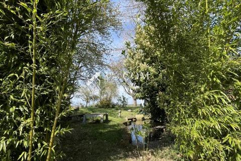 Terra a Berstett, Bas-Rhin, Berstett - € 66.000 | Ref: 55_V1000057277 - foto 18