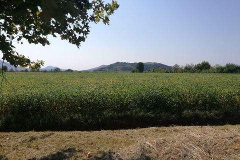 Landejendom i Rovolon, Padua, Rovolon - € 90.000 | Ref: VM90LOV - foto 10