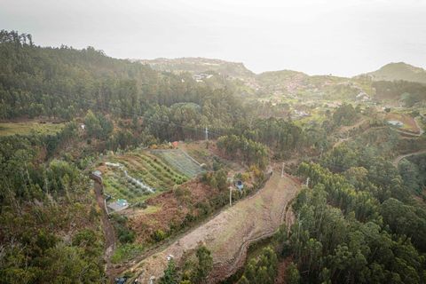 Helårsgrund i Ponta do Sol, Madeira, Ponta do Sol - € 35.000 | Ref: KWPT-011585 - foto 2