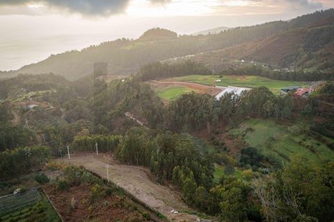 Helårsgrund i Ponta do Sol, Madeira, Ponta do Sol - € 35.000 | Ref: KWPT-011585 - foto 3