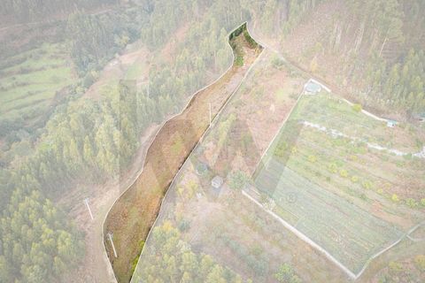 Helårsgrund i Ponta do Sol, Madeira, Ponta do Sol - € 35.000 | Ref: KWPT-011585 - foto 5