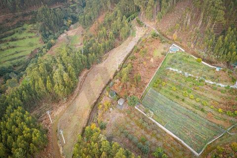 Helårsgrund i Ponta do Sol, Madeira, Ponta do Sol - € 35.000 | Ref: KWPT-011585 - foto 6
