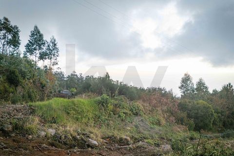 Helårsgrund i Ponta do Sol, Madeira, Ponta do Sol - € 35.000 | Ref: KWPT-011585 - foto 7