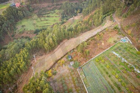 Helårsgrund i Ponta do Sol, Madeira, Ponta do Sol - € 35.000 | Ref: KWPT-011585 - foto 8