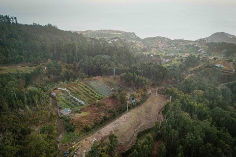Helårsgrund i Ponta do Sol, Madeira, Ponta do Sol - € 35.000 | Ref: KWPT-011585 - foto 9