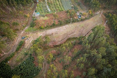 Helårsgrund i Ponta do Sol, Madeira, Ponta do Sol - € 35.000 | Ref: KWPT-011585 - foto 10