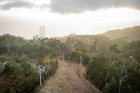 Helårsgrund i Ponta do Sol, Madeira, Ponta do Sol - € 35.000 | Ref: KWPT-011585 - foto 12