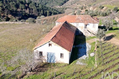 Byhus i Alijo, Vila Real, Alijo - € 700.000 | Ref: 134964 - foto 2