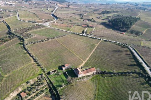 Byhus i Alijo, Vila Real, Alijo - € 700.000 | Ref: 134964 - foto 1