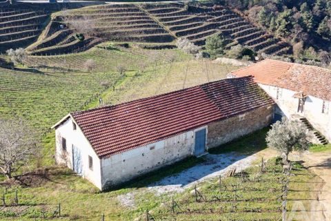 Byhus i Alijo, Vila Real, Alijo - € 700.000 | Ref: 134964 - foto 4