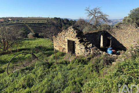 Byhus i Alijo, Vila Real, Alijo - € 700.000 | Ref: 134964 - foto 10