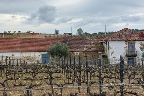 Byhus i Alijo, Vila Real, Alijo - € 700.000 | Ref: 134964 - foto 5