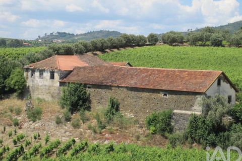 Byhus i Alijo, Vila Real, Alijo - € 700.000 | Ref: 134964 - foto 7
