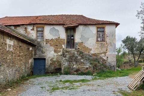 Byhus i Alijo, Vila Real, Alijo - € 700.000 | Ref: 134964 - foto 16