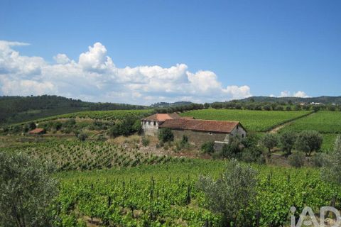 Byhus i Alijo, Vila Real, Alijo - € 700.000 | Ref: 134964 - foto 18