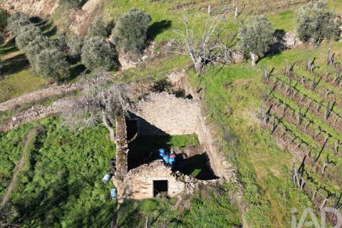 Byhus i Alijo, Vila Real, Alijo - € 700.000 | Ref: 134964 - foto 25