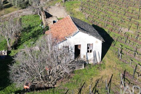 Byhus i Alijo, Vila Real, Alijo - € 700.000 | Ref: 134964 - foto 26