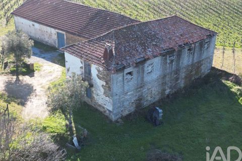 Byhus i Alijo, Vila Real, Alijo - € 700.000 | Ref: 134964 - foto 27