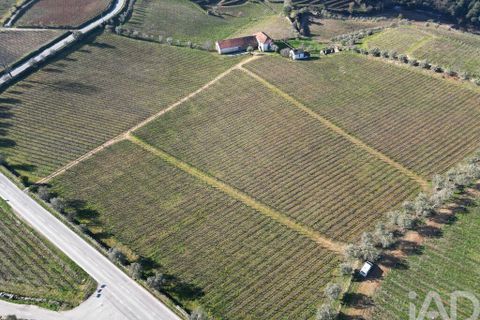 Byhus i Alijo, Vila Real, Alijo - € 700.000 | Ref: 134964 - foto 28