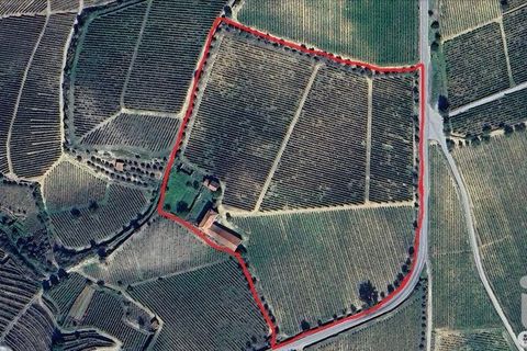 Byhus i Alijo, Vila Real, Alijo - € 700.000 | Ref: 134964 - foto 30