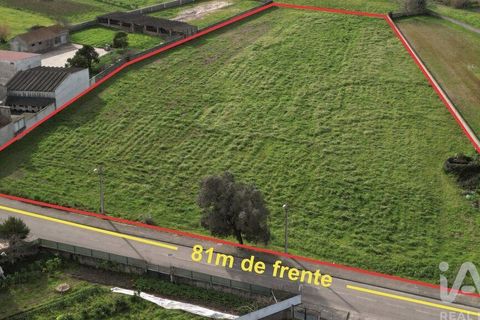 Helårsgrund i Aveiro, Aveiro, Aveiro - € 240.000 | Ref: 60529 - foto 2