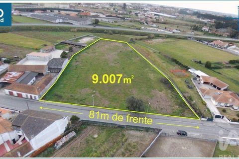 Helårsgrund i Aveiro, Aveiro, Aveiro - € 240.000 | Ref: 60529 - foto 4
