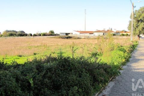 Helårsgrund i Aveiro, Aveiro, Aveiro - € 240.000 | Ref: 60529 - foto 5