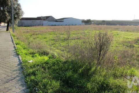 Helårsgrund i Aveiro, Aveiro, Aveiro - € 240.000 | Ref: 60529 - foto 6