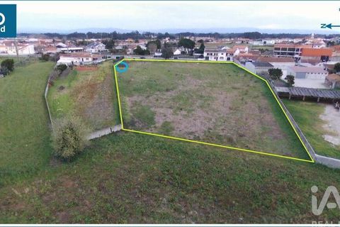 Helårsgrund i Aveiro, Aveiro, Aveiro - € 240.000 | Ref: 60529 - foto 10