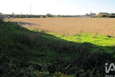 Helårsgrund i Aveiro, Aveiro, Aveiro - € 240.000 | Ref: 60529 - foto 13