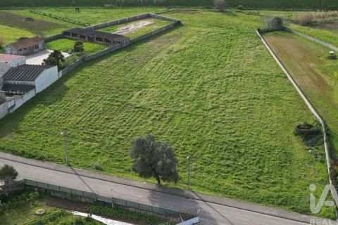 Helårsgrund i Aveiro, Aveiro, Aveiro - € 240.000 | Ref: 60529 - foto 14