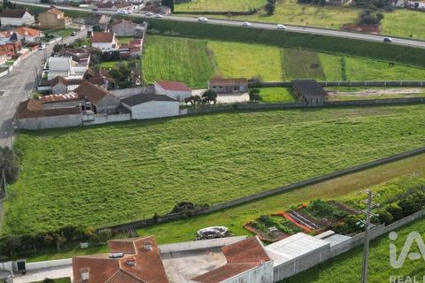 Helårsgrund i Aveiro, Aveiro, Aveiro - € 240.000 | Ref: 60529 - foto 15