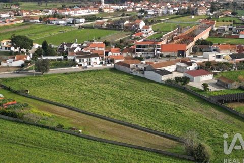 Helårsgrund i Aveiro, Aveiro, Aveiro - € 240.000 | Ref: 60529 - foto 16