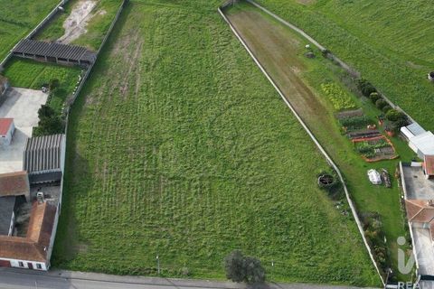 Helårsgrund i Aveiro, Aveiro, Aveiro - € 240.000 | Ref: 60529 - foto 17