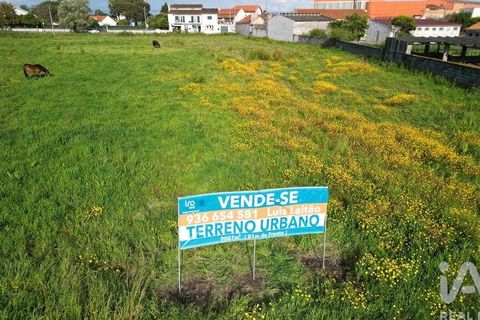 Helårsgrund i Aveiro, Aveiro, Aveiro - € 240.000 | Ref: 60529 - foto 18