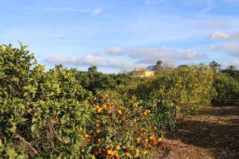 Villa en Ondara, Alicante, Ondara - € 525.000 | Ref: 001659 - photo 1