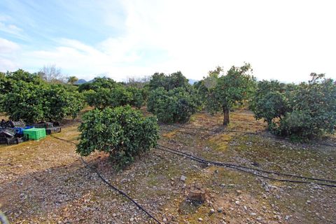 Villa en Ondara, Alicante, Ondara - € 525.000 | Ref: 001659 - photo 18