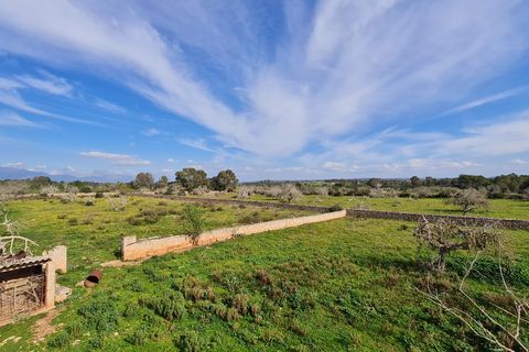 Finca i Algaida, Mallorca, Algaida - € 540 000 | Ref: 81038 - foto 2
