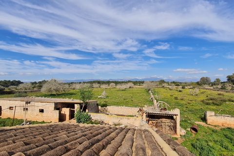 Finca i Algaida, Mallorca, Algaida - € 540 000 | Ref: 81038 - foto 3
