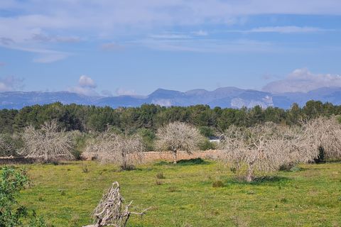 Finca i Algaida, Mallorca, Algaida - € 540 000 | Ref: 81038 - foto 4