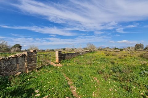 Finca i Algaida, Mallorca, Algaida - € 540 000 | Ref: 81038 - foto 5