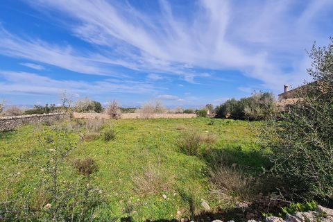 Finca i Algaida, Mallorca, Algaida - € 540 000 | Ref: 81038 - foto 6