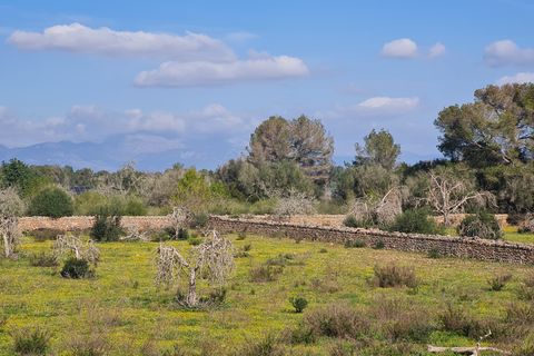 Finca i Algaida, Mallorca, Algaida - € 540 000 | Ref: 81038 - foto 7