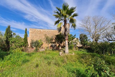 Finca i Algaida, Mallorca, Algaida - € 540 000 | Ref: 81038 - foto 8
