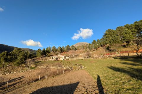 Terra a Seia, Guarda, Seia - € 62.000 | Ref: 382250012 - foto 3