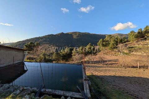 Terra a Seia, Guarda, Seia - € 62.000 | Ref: 382250012 - foto 4