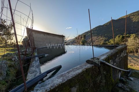 Terra a Seia, Guarda, Seia - € 62.000 | Ref: 382250012 - foto 5