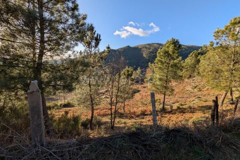 Terra a Seia, Guarda, Seia - € 62.000 | Ref: 382250012 - foto 6